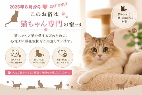 a cat only stickers for cats and dogs at Sweet House Umeda Minami in Osaka