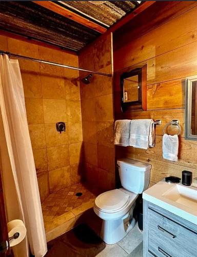 a bathroom with a toilet and a shower and a sink at Couples Country Getaway in Pagosa Springs