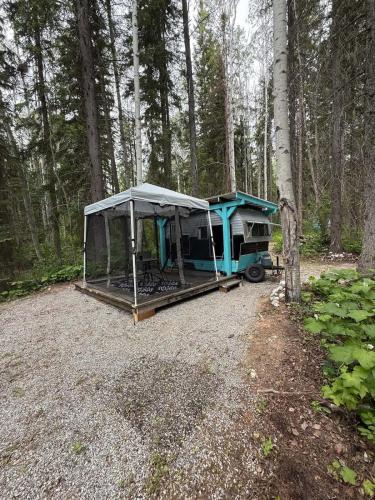 a tent sitting in the middle of a forest at Cozy Vintage Camper, the Tealy Wheely in Golden