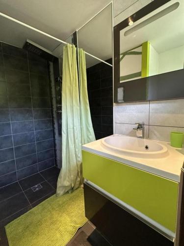 a bathroom with a sink and a shower at Bois sauvage in Parentis-en-Born
