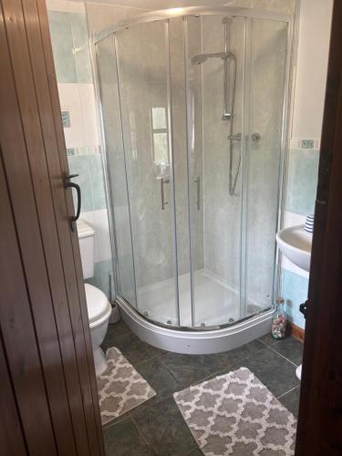 a bathroom with a shower and a toilet at Tregatherall Barn in Boscastle