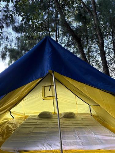 a large blue and yellow tent with trees in the background at Camp Wildnest Adventures Ziro in Ziro