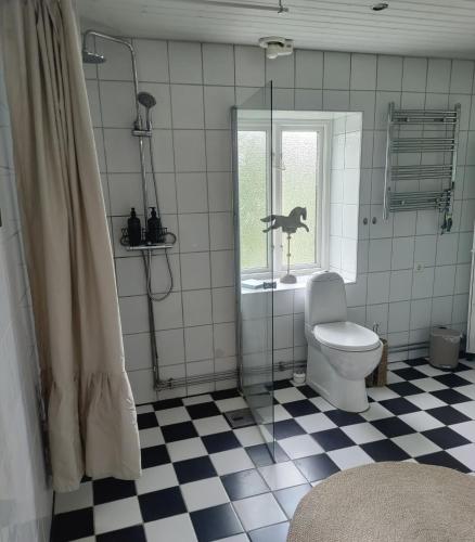 a bathroom with a shower and a toilet and a window at The running Rabbit caravan in Ystad