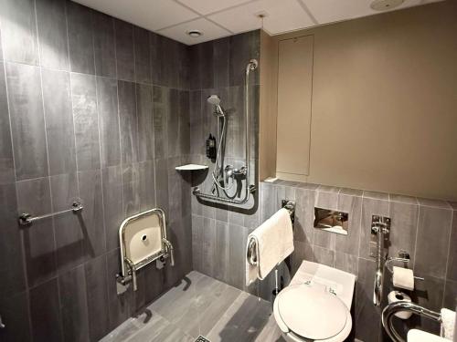 a bathroom with a toilet and a shower at Ibis Poznan Centrum in Poznań