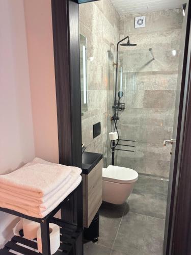 a bathroom with a shower and a toilet and a sink at Paradise Villa Lopar in Lopar