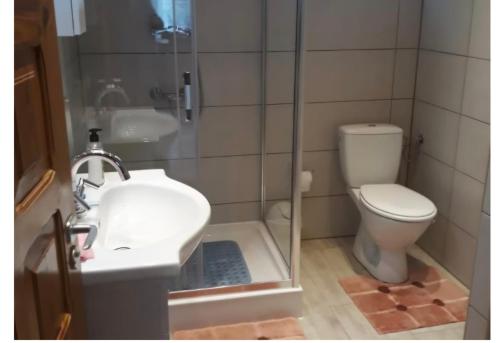 a bathroom with a toilet and a sink and a shower at Domki na Olszynki in Okuninka