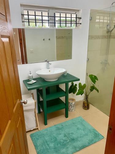 a bathroom with a sink and a mirror at La Casa Margot in Albion