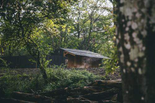 a small cabin in the middle of a forest at Earthboat Nasu - Glamping Cabin with Private Wood-Fired Sauna & Onsen, Pet-Friendly & Cage-Free in Nasu