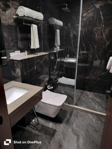 a bathroom with a toilet and a sink and a shower at Park Central Hotel in Ahmadnagar