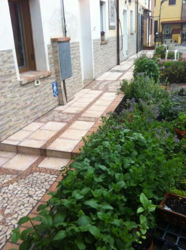 a garden with plants on a sidewalk next to a building at B&B Ciliegio Felice in Molinella