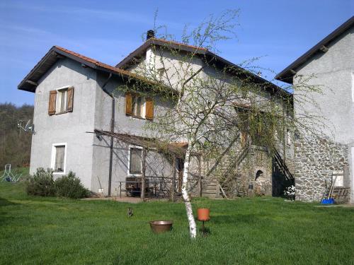 un piccolo albero di fronte a una casa in pietra di La Sereta a Busalla