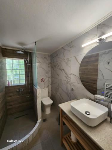 a bathroom with a sink and a shower and a toilet at Orange Grove in Plomari