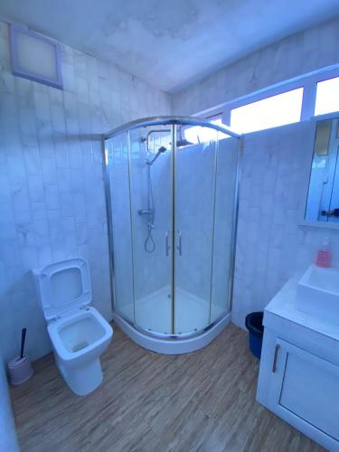 a bathroom with a shower and a toilet at sunsetvilla studio in Saint-Martin