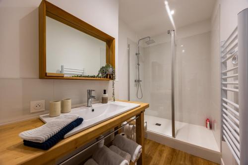 a bathroom with a sink and a shower at Château Puybarban in Puybarban
