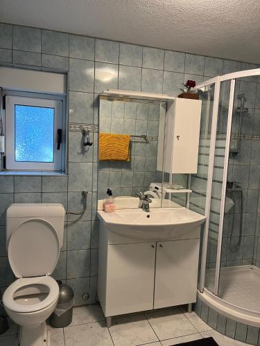 a bathroom with a toilet and a sink and a shower at Ferienhaus Vedran in Vir