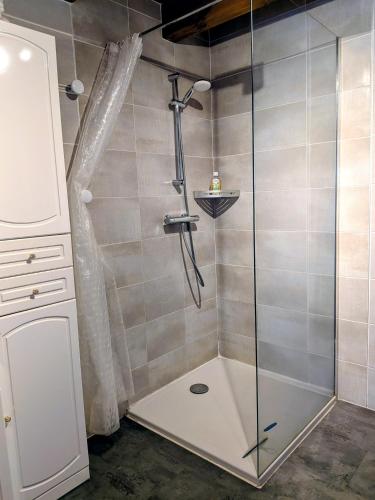 a shower with a glass door in a bathroom at Gîte FRAIZE in Fraize