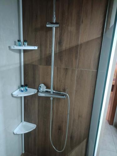 a shower with two shelves in a bathroom at Alexia's House in Leptokarya