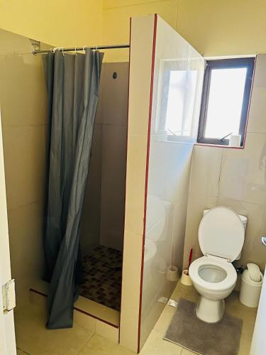 a bathroom with a toilet and a shower at Otam-Check Guest House in Ondangwa