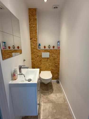 a bathroom with a white sink and a toilet at The North Antwerp Apartment in Antwerp