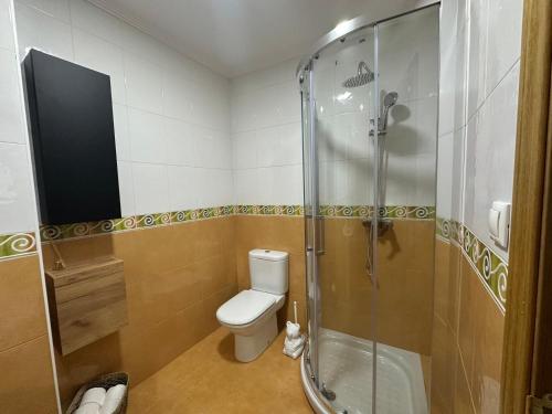 a bathroom with a toilet and a glass shower at El Rincon de Carmen in Felechosa
