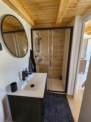 a bathroom with a sink and a shower at Holiday House IRENA 1 in Posedarje