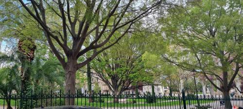 LE PARC Authentique Coeur de Ville Proximité Parking Climatisé