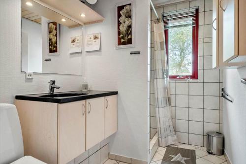 a bathroom with a sink and a shower at 1039-Stege-Rylevej-30 in Stege
