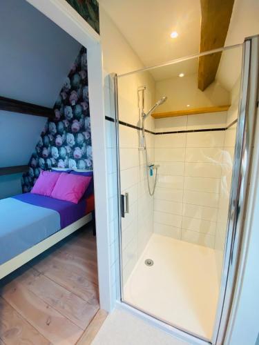 a bathroom with a shower and a bed in a room at Au Petit Paradis in Saint-Domet