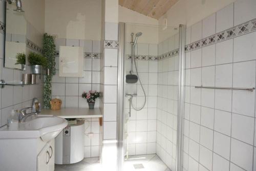 a bathroom with a shower and a sink at 7000-Bogo-By-Mosedalen-6 in Bogø By