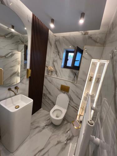 a bathroom with a white toilet and a sink at Oaza Apusenilor in Călăraşi