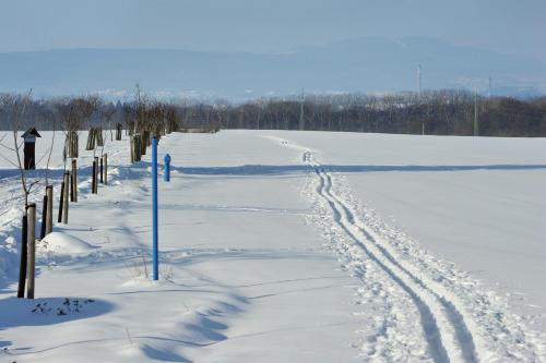 a snow covered field with footprints in the snow at Galerie Kuks in Kuks