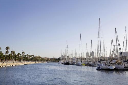 a group of boats are docked in a harbor at Arc La Rambla in Barcelona