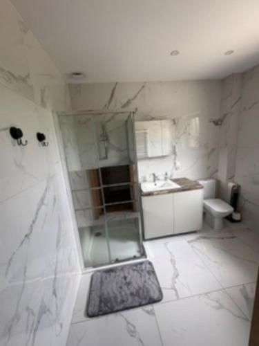 a bathroom with a shower and a sink at Apartament u Anitki in Trzebnica