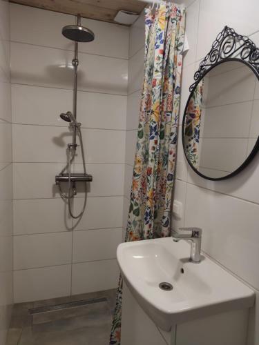 a bathroom with a sink and a mirror at Štalca in Bušinja Vas