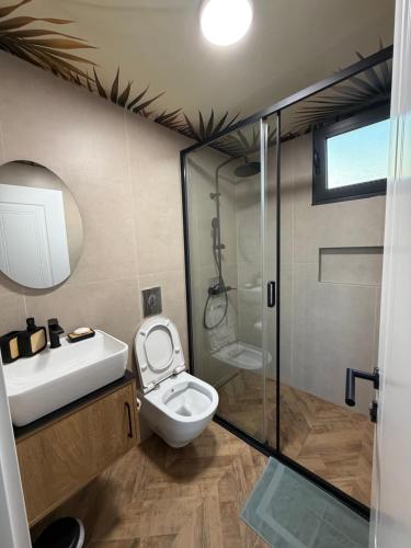 a bathroom with a toilet and a glass shower at Buna riverfront in Ulcinj