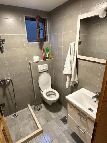a bathroom with a toilet and a sink at Ada Bojana Kucica in Ulcinj