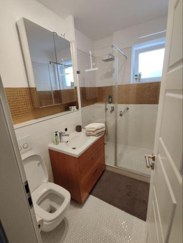 a bathroom with a toilet and a sink and a shower at Stylish central apartment in Trenčín