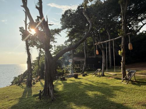 a tree in the grass next to the water at Padel Lodge Koh Chang in Ko Chang