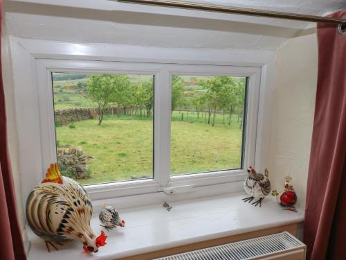 a window with three chickens sitting on a window sill at The LA'AL Cragg in Kirkby Stephen
