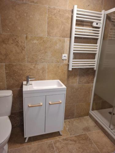 a bathroom with a sink and a toilet and a shower at Stable for two in Hégenheim