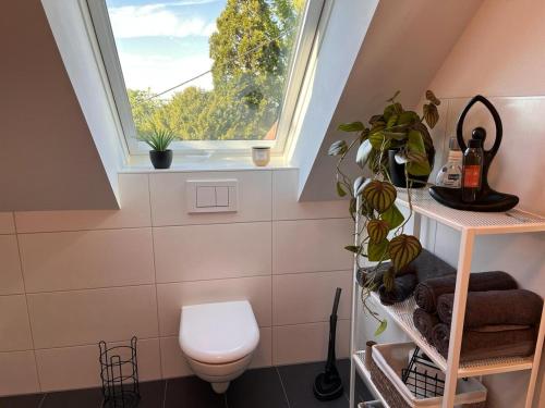 a bathroom with a toilet and a window at Zum Nussbaum Wohnung Walnuss 86 qm 2 Schlafzimmer alles neu renoviert in Gerstetten