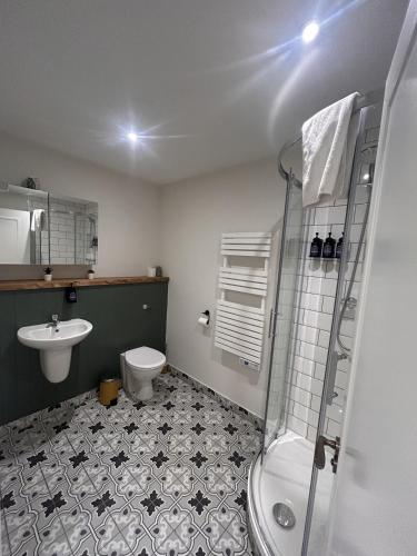 a bathroom with a shower and a toilet and a sink at Village Centre Haven in Clifden
