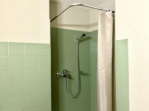 a shower with a shower curtain in a bathroom at Studio Apartment Göschenen in Göschenen