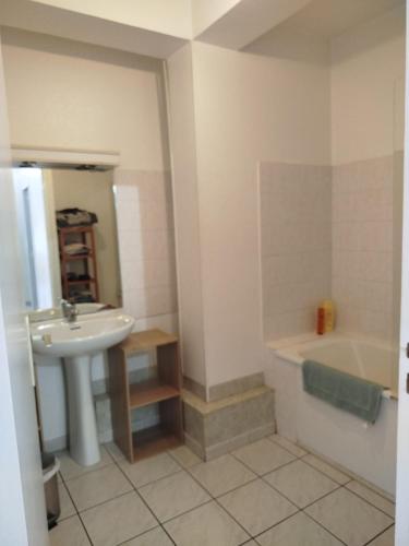 a bathroom with a sink and a bath tub at Tréfilerie in Saint-Étienne