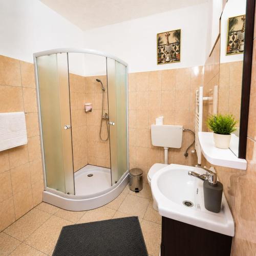 a bathroom with a shower and a sink at Pensiunea Mallorca Restaurant - Bar in Vişeu de Sus