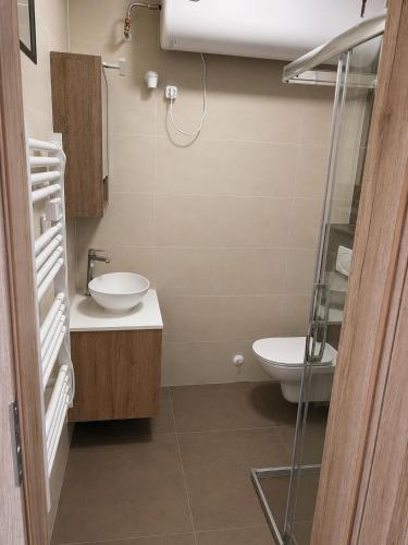 a bathroom with a sink and a toilet at V44 Resort in Visegrád
