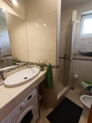a bathroom with a sink and a shower at Riviera Apartman in Hajdúszoboszló