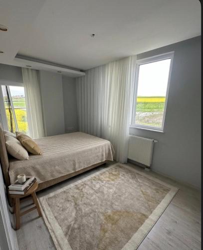 a bedroom with a bed and a window and a rug at İkizler villa in Edirne