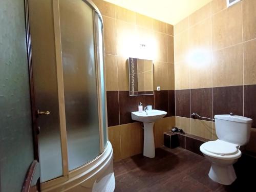 a bathroom with a shower and a toilet and a sink at Pensiunea Ruxandra la 100 m de Aqua Park Venus in Baile Unu Mai