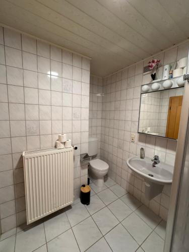 a bathroom with a sink and a toilet and a mirror at Ferienwohnung am Rohrbach in Binnen